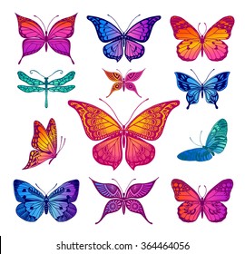 Butterflies graphic illustration