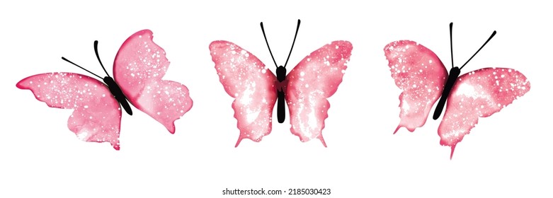 Butterflies graphic in vector quality.