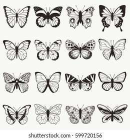 Butterflies graphic vector set