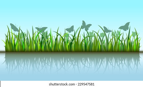 Butterflies in grass