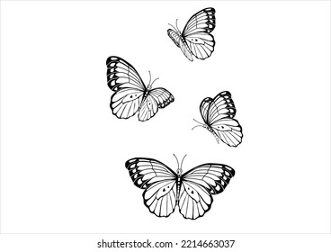 butterflies han drawn design vector art