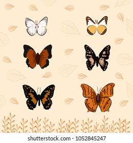  butterflies hand drawn vector on spring background
