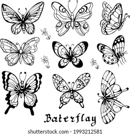 
Butterflies insects graphic illustration hand-drawn vector doodle sketch. nature animals wings in flight