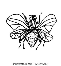 
Butterflies and insects are hand-drawn. Vector doodles. Butterflies for coloring. Coloring pages for children, butterflies, chitocose, beetle. Logo, print, ornament. Design element.