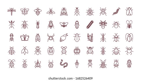 butterflies and insects icon set over white background, line style, vector illustration