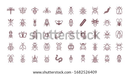 butterflies and insects icon set over white background, line style, vector illustration