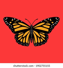 Butterflies are insects in the macrolepidopteran clade Rhopalocera from the order Lepidoptera, which also includes moths