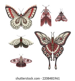 Butterflies isolated on the white background. Trendy vector print