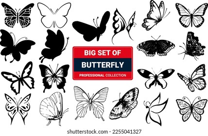 Butterflies are isolated on white background. Pretty vector butterfly set with a spring palette for children.