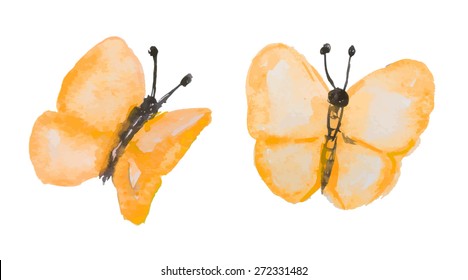 Butterflies. Isolated on white background