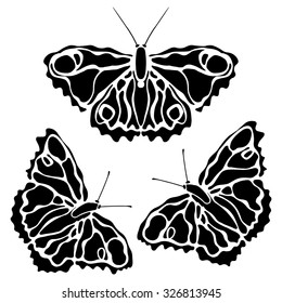 Butterflies isolated on white background. Butterfly design