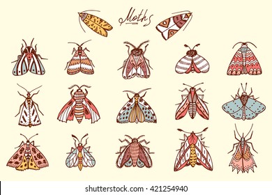 Butterflies. Moths. Hand drawn doodle moth vector set. Night butterflies.