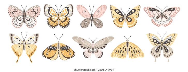 Butterflies and moths, a set of colorful insect vector illustrations. Cute wings with abstract ornament, front view. Elements for tattoo design. Summer background