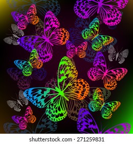 Butterflies  multicolored. Vector