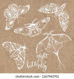 Butterflies, night insects. Vector hand-drawn illustration on kraft paper. Collection of isolated elements for design.
