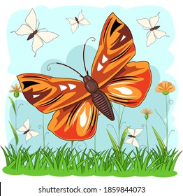 Butterflies on the background of a summer meadow. Grass. Landscape in a cartoon style. Bright beautiful square composition. Isolated object on white. Vector.