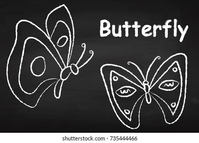 Butterflies. On the chalkboard. Insect. Beautiful. For your design.