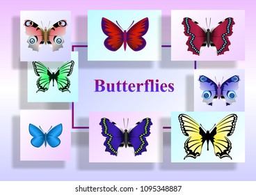 butterflies on colored paper sheets, beautiful colorful background. Vector Illustration