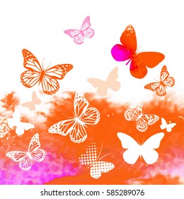 butterflies on a colorful background. Vector