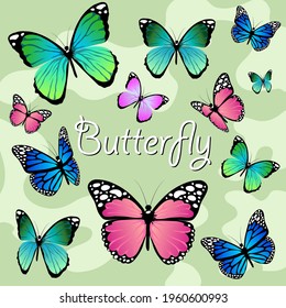 Butterflies on a green background. Swallowtail. The butterfly folded its wings. Blue butterfly, green, pink, and purple butterfly. Beautiful butterflies.