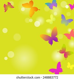 Butterflies on a green background. Vector card