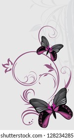 Butterflies on the ornamental background. Vector