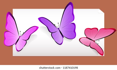 Butterflies on the table, on white paper, greeting card. Vector, eps 10