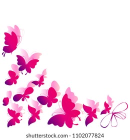 butterflies , on a white background