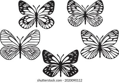 Butterflies outlines silhouettes. Basis graphics on white background
