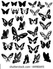 Butterflies Party