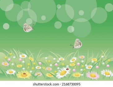 Butterflies playing with spring flowers.vector illustration