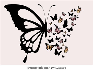  butterflies  positive quote flower design