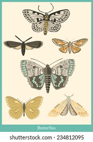 Butterflies poster