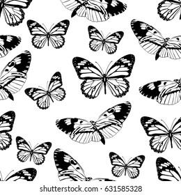 Butterflies seamless pattern, monochrome vector background, coloring book. Black and white various insects on a white backdrop. For fabric design, wallpapers, wrappers, print, decorating