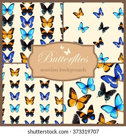 Butterflies seamless set