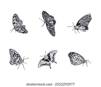 Butterflies set, black and white. Hand drawn vector illustration in graphic style. Cards, wallpapers, labels, invitations, covers, banners, posters.