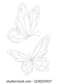 Butterflies. A set with a butterfly silhouette. Vector monochrome illustration isolated on a white background. Decorative design elements.