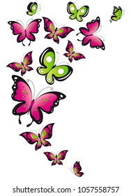butterflies set color