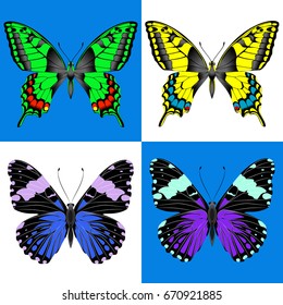 Butterflies set. Four insects in different execution. Vector illustration.