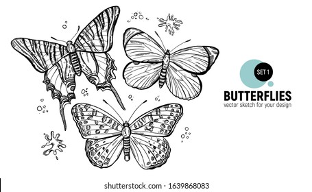 Butterflies. Set of hand drawing sketches. 