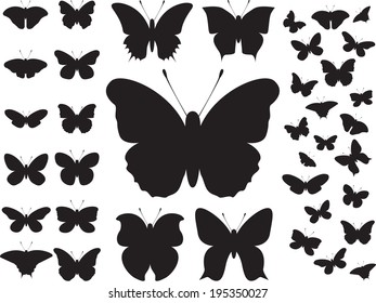 Butterflies set illustrated on white