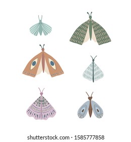 Butterflies set. Vector illustration. Isolated image