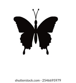 Butterflies silhouette black background on white Background with vector