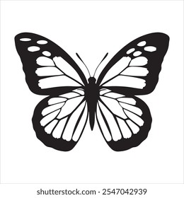 Butterflies silhouette black background on white Background