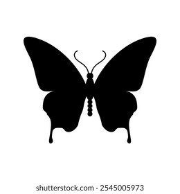 Butterflies silhouette black isolated on white background. Vector illustration.