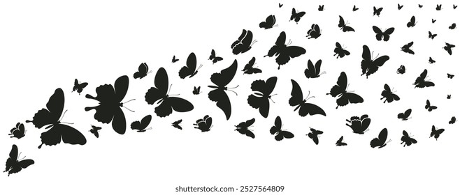 Butterflies silhouette flying on white background. Vector illustration set