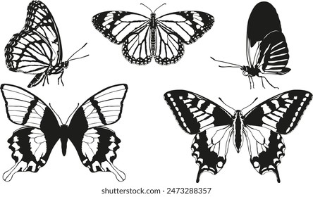 Butterflies Silhouette illustration Vector Set 