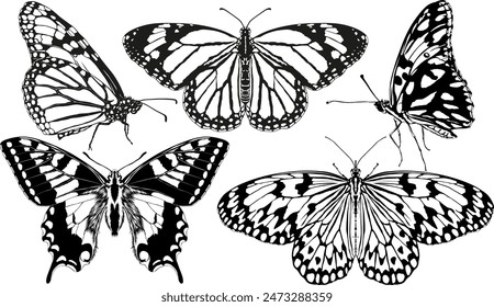 Butterflies Silhouette illustration Vector Set 