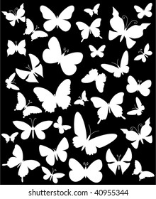 butterflies silhouette on black background.vector illustration