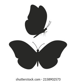 butterflies silhouette on white background